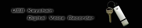 PENNA USB DIGITALE REGISTRATORE VOCALE MEMORIA 8GB REGISTRA AUDIO